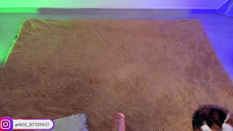 Snapshot of mich_bittersweet chatting on January 29, 2025, 10:11 pm online show from January 29, 2025, 10:11 pm