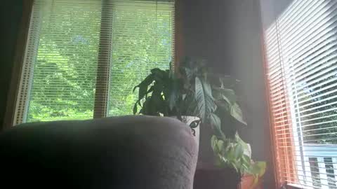 Snapshot of michael12291996 chatting on June 7, 2026, 7:39 pm Big Dick Mike online show from June 7, 2026, 7:39 pm