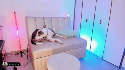 Michelle online show from April 15, 2026, 9:59 pm