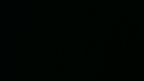 micwalrus online show from March 5, 2026, 4:36 pm