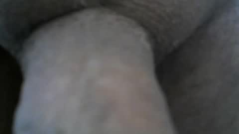 Snapshot of mike26051 chatting on December 24, 2024, 6:50 pm mike26051 online show from December 24, 2024, 6:50 pm