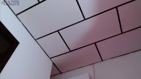 Snapshot of mike_d1030 chatting on February 14, 2025, 3:33 am mike_d1030 online show from February 14, 2025, 3:33 am