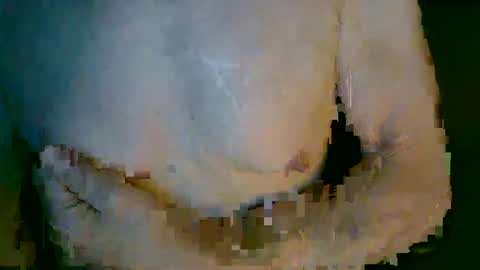 Snapshot of mikenyc55 chatting on October 4, 2025, 3:10 pm mikenyc55 online show from October 4, 2025, 3:10 pm