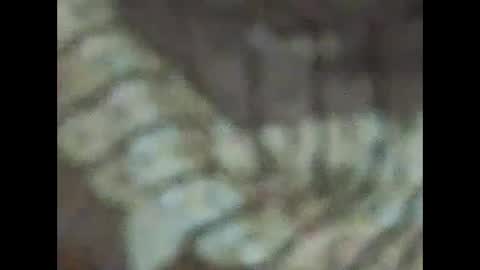 milfpussyeatdeep online show from December 31, 2024, 9:06 pm