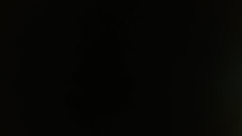 Rosalie  online show from February 20, 2025, 9:33 am