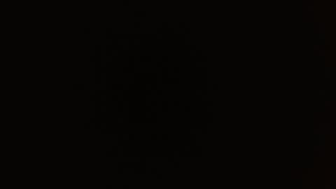 Rosalie  online show from September 15, 2025, 9:53 am