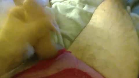 Snapshot of milkncookies8 chatting on October 3, 2025, 5:59 am milkncookies8 online show from October 3, 2025, 5:59 am