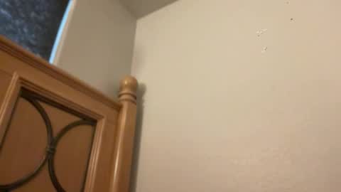 Minx online show from February 11, 2026, 2:22 pm