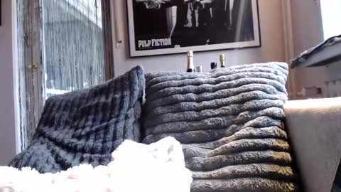 Ben online show from February 10, 2026, 9:02 am