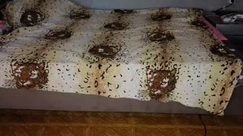 Happy New Year  online show from November 10, 2025, 12:37 pm