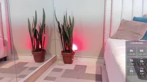    online show from January 14, 2025, 3:15 pm