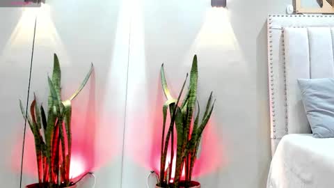 Snapshot of miranda_doll_ chatting on November 14, 2025, 12:04 pm online show from November 14, 2025, 12:04 pm