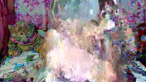 Snapshot of miss_v0lcan0 chatting on March 15, 2026, 12:05 am miss v0lcan0 online show from March 15, 2026, 12:05 am