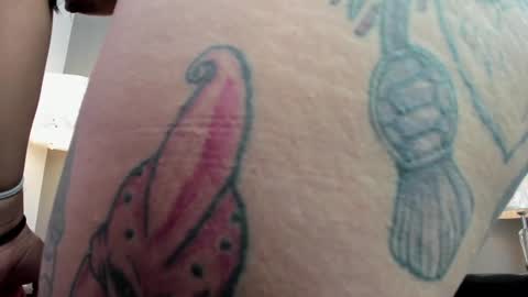 Vaiolette online show from December 23, 2024, 11:04 am