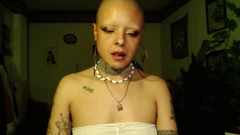 Anarkitten  online show from December 19, 2025, 12:17 am