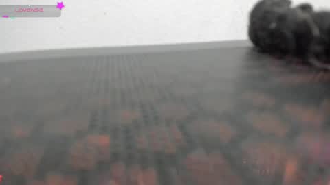 Vane online show from April 1, 2026, 11:13 pm