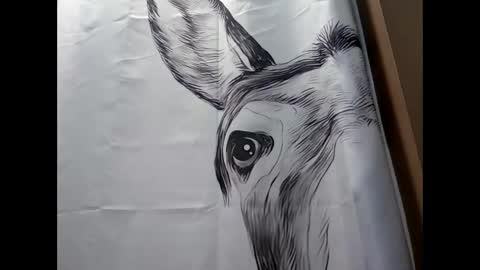 MissEeva online show from February 17, 2025, 9:41 pm