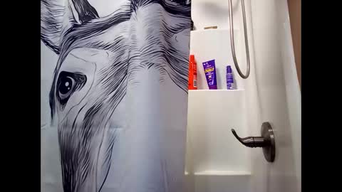 MissEeva online show from February 26, 2025, 3:10 am