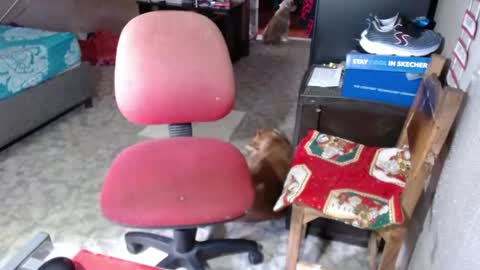 Snapshot of missgomezz_ chatting on May 26, 2026, 6:04 pm Maria Gomezz online show from May 26, 2026, 6:04 pm