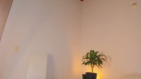 Snapshot of misspaulag chatting on January 31, 2025, 4:03 am misspaulag online show from January 31, 2025, 4:03 am