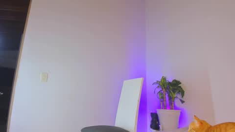 Snapshot of misspaulag chatting on February 14, 2025, 12:41 am misspaulag online show from February 14, 2025, 12:41 am