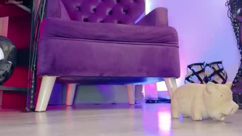 Jhadee online show from March 7, 2026, 11:02 pm