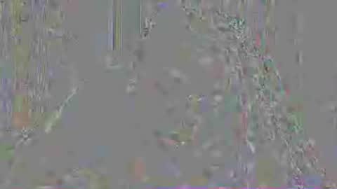 Snapshot of mistressmystii chatting on July 3, 2026, 3:02 am Mistress Mystii online show from July 3, 2026, 3:02 am