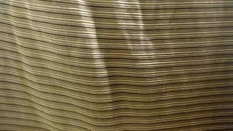 Snapshot of mistynox chatting on January 23, 2025, 2:12 am Mistress MISTY online show from January 23, 2025, 2:12 am