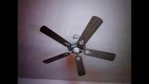 BobbyMitchGa online show from December 15, 2024, 7:24 am