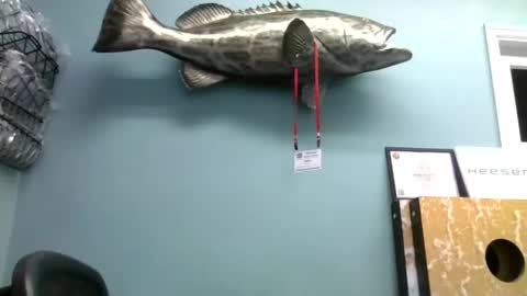 mjd666 online show from September 9, 2025, 7:46 pm