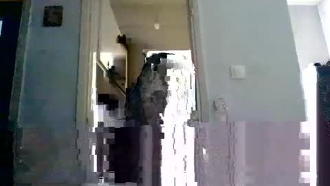 mmpempis81 online show from February 22, 2025, 7:12 am