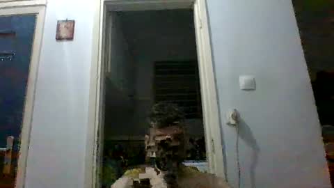 mmpempis81 online show from September 28, 2025, 7:08 pm