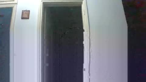 mmpempis81 online show from October 7, 2025, 5:32 pm