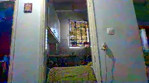 mmpempis81 online show from October 24, 2025, 5:04 am