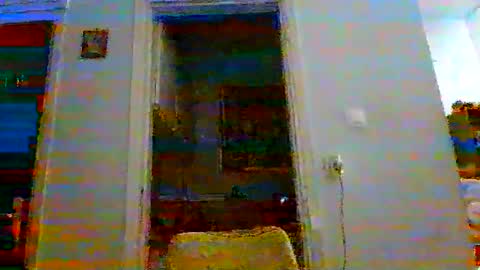 mmpempis81 online show from October 24, 2025, 8:05 pm