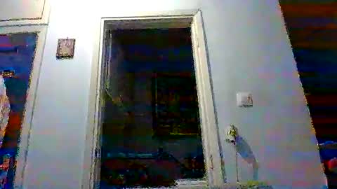 mmpempis81 online show from November 3, 2025, 5:03 pm