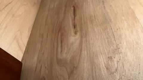 Snapshot of moeline chatting on October 20, 2025, 6:58 am Jack online show from October 20, 2025, 6:58 am