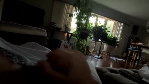 moethecheater7 online show from October 2, 2025, 10:28 pm