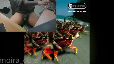 Snapshot of moira_core chatting on July 24, 2026, 10:13 am moira_core online show from July 24, 2026, 10:13 am