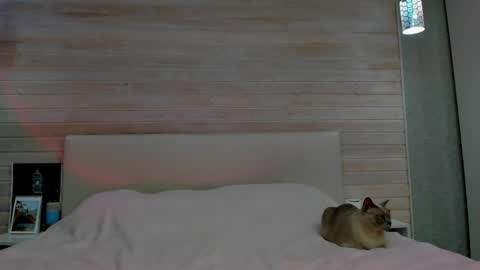 Molly Hunt online show from March 1, 2026, 4:58 am