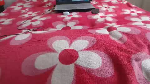 Snapshot of mollyandbra chatting on December 21, 2025, 7:10 pm Molly And Brad online show from December 21, 2025, 7:10 pm