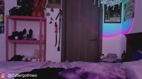 mollycrystalll online show from April 15, 2026, 7:59 am