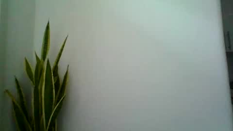 mollypepe online show from September 9, 2025, 9:42 am