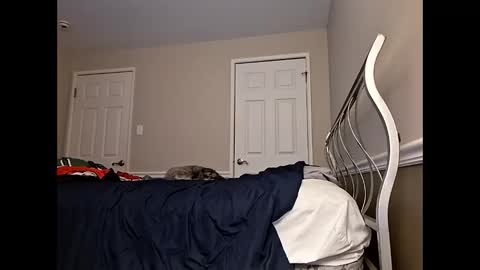 Snapshot of moneyboysaveg584 chatting on April 12, 2026, 10:09 am moneyboysaveg584 online show from April 12, 2026, 10:09 am