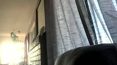 Monkee Dance online show from December 17, 2024, 5:36 pm