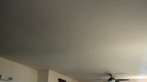 Monkee Dance online show from January 12, 2025, 5:44 pm