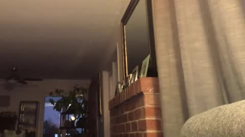 Monkee Dance online show from February 22, 2025, 2:17 am