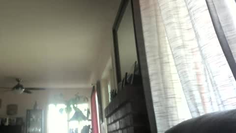 Monkee Dance online show from March 12, 2025, 5:28 pm