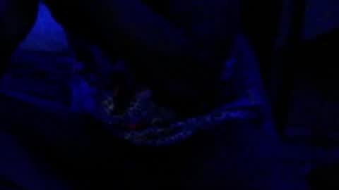 montydxxx2 online show from December 17, 2025, 4:35 pm