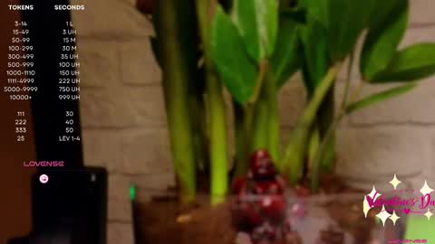 Snapshot of moon_deity chatting on February 14, 2025, 4:20 pm Luna online show from February 14, 2025, 4:20 pm